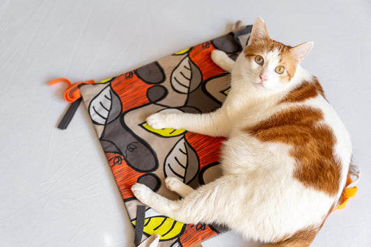 Feline Frenzy Purrfect Playtime Mat