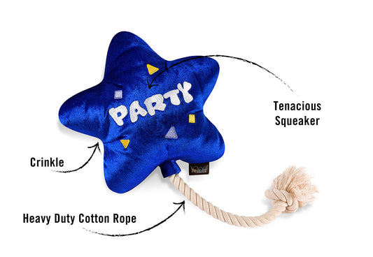 Party Time Best Day Ever Balloon