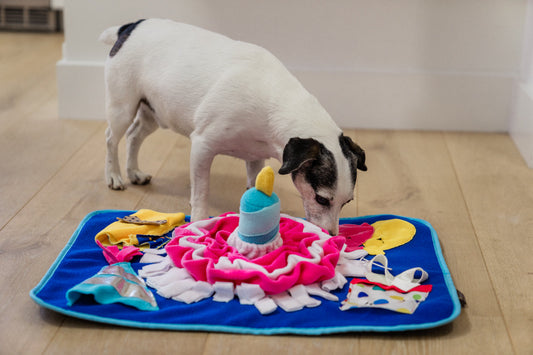 Woof-day Celebration Snuffle Mat