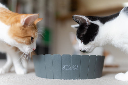 Feline Frenzy Peek-a-boo Mouse Interactive Cat Toy