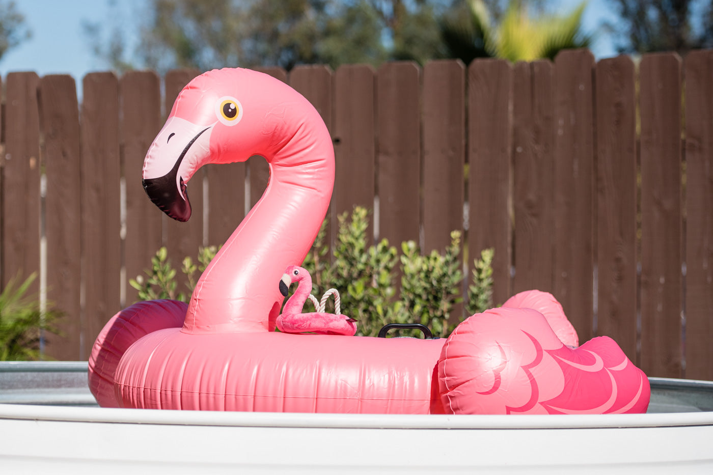 Tropical Paradise Flamingo Float