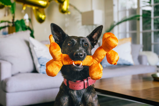 Party Animal Balloon Buddy