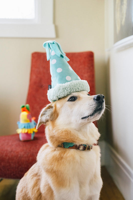 Party Animal Collection