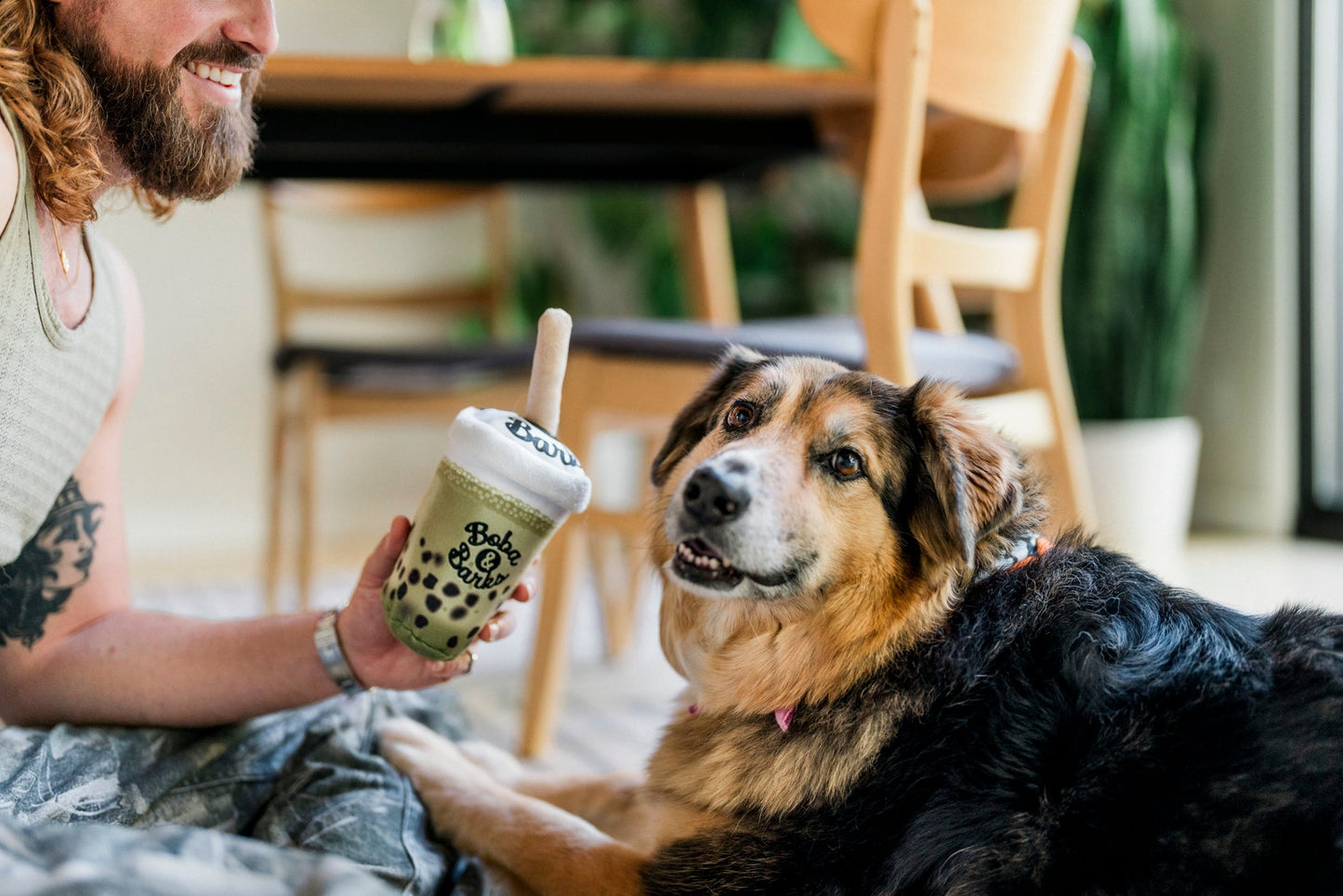Fog City Pet x Play Matcha Boba