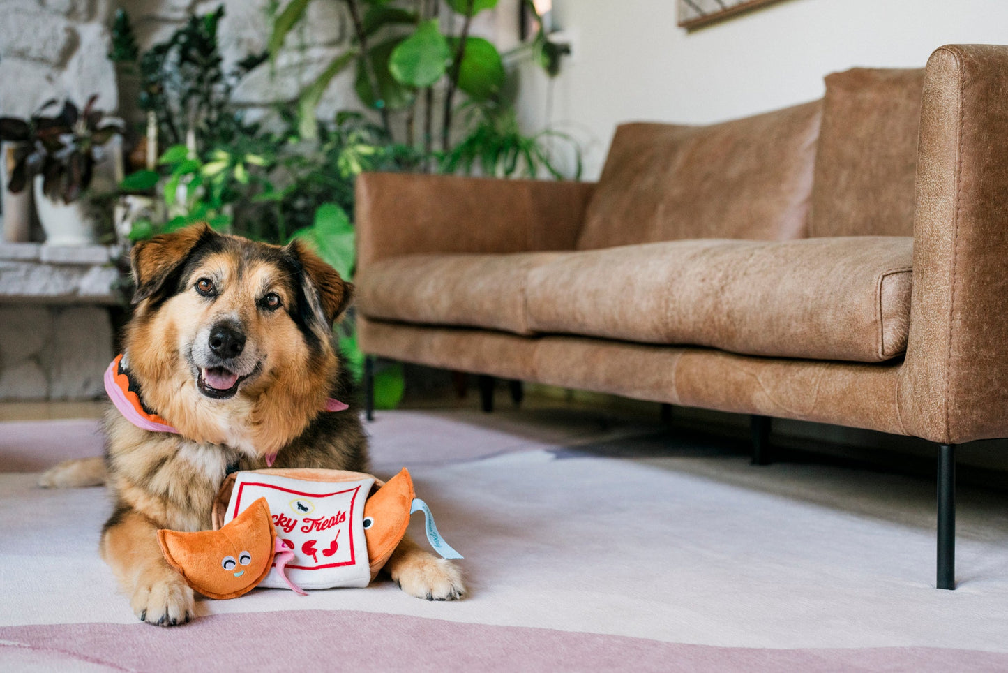 Fog City Pet x Play Lucky Treats