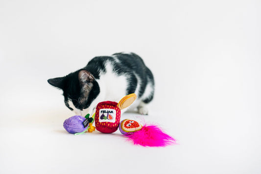 Feline Frenzy Fig N' Whiskers