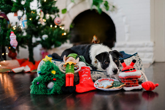 Merry Woofmas Collection