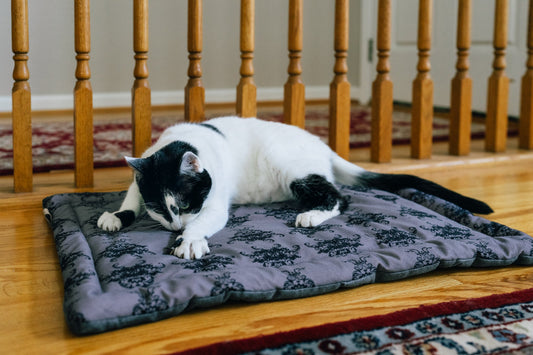 Feline Frenzy Cat Nap Pad