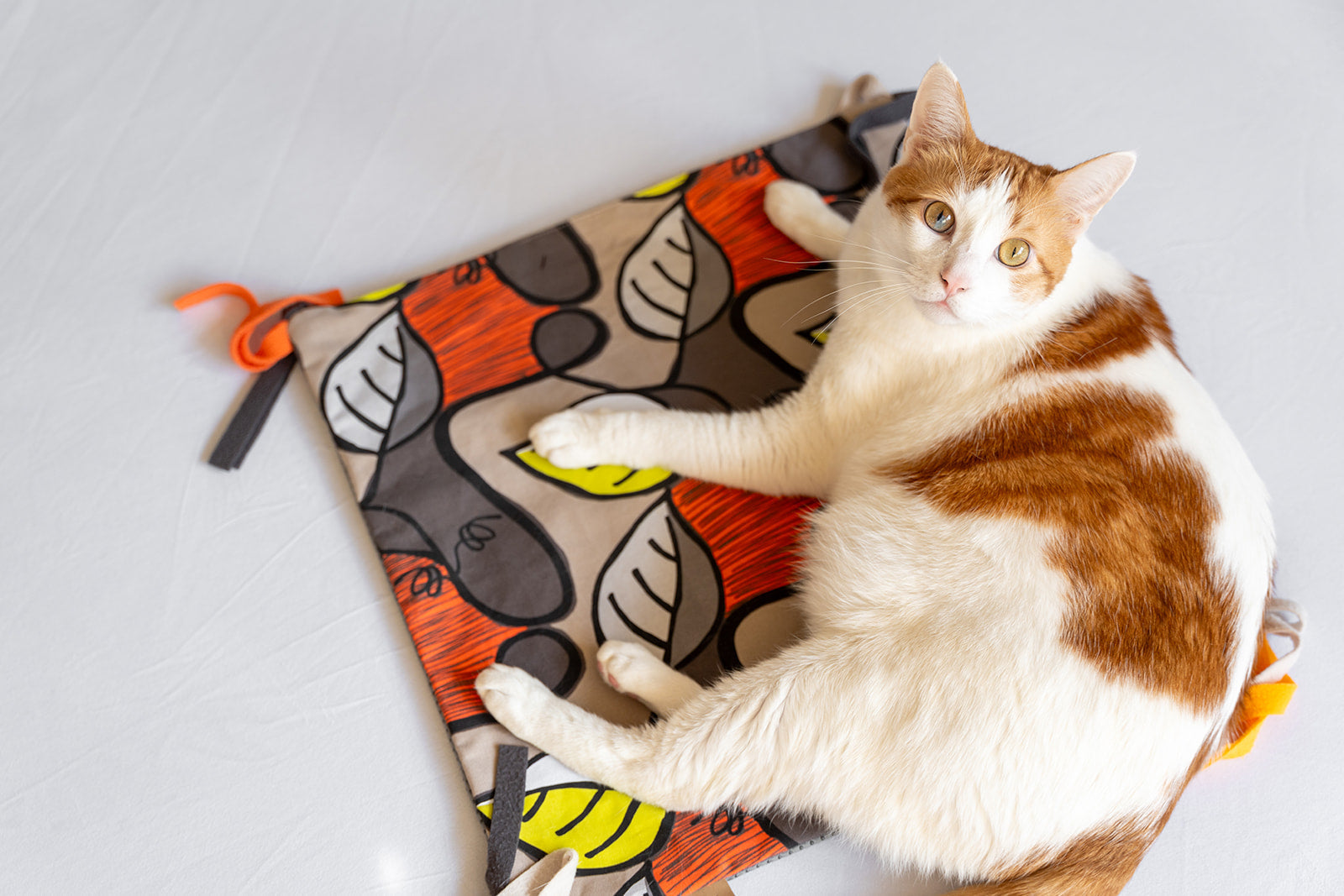 Feline Frenzy Purrfect Playtime Mat