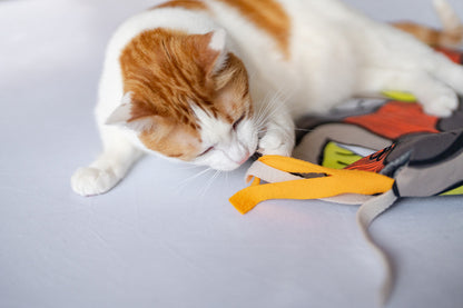 Feline Frenzy Purrfect Playtime Mat