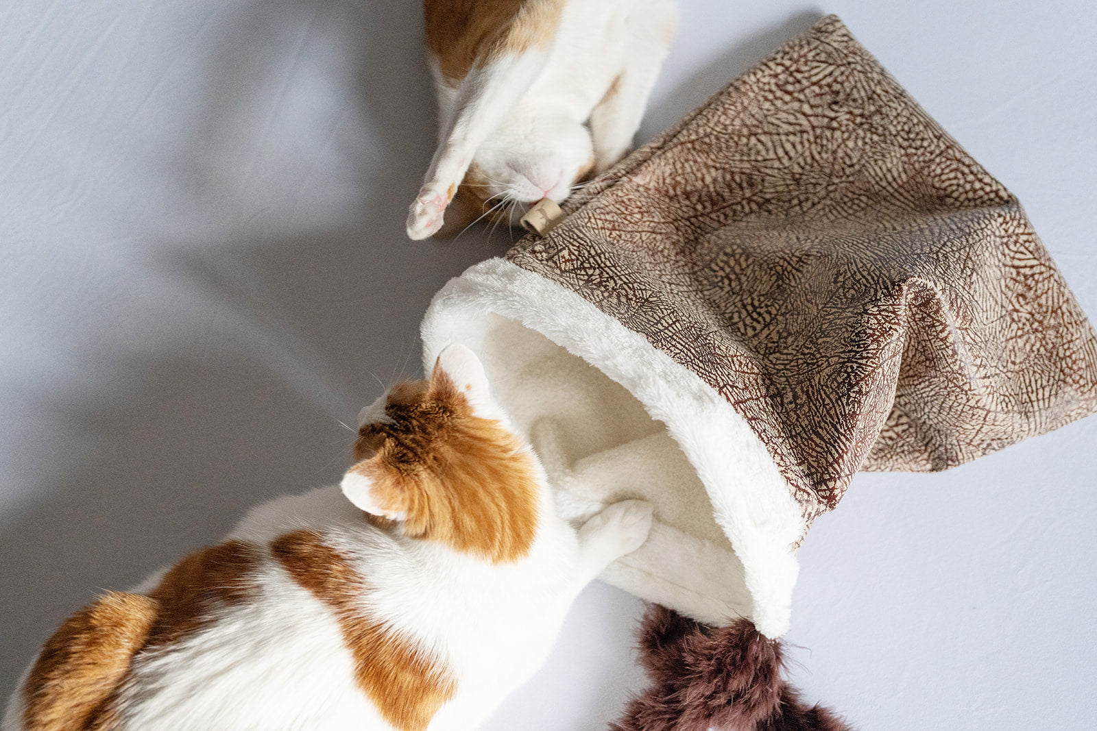 Feline Frenzy Cat Crinkle Sack