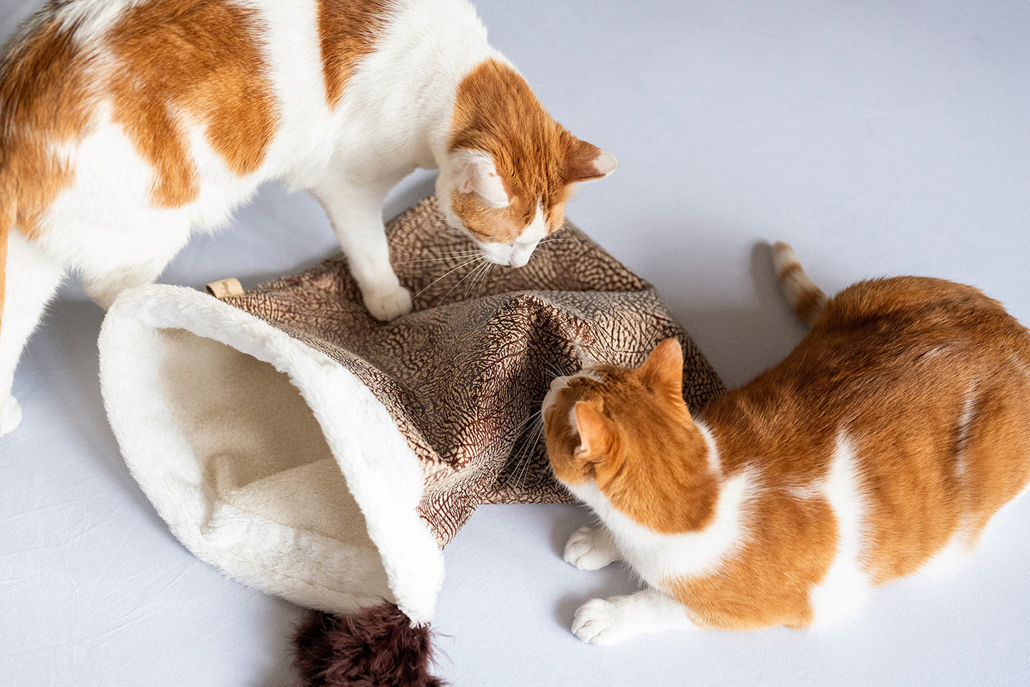 Feline Frenzy Cat Crinkle Sack
