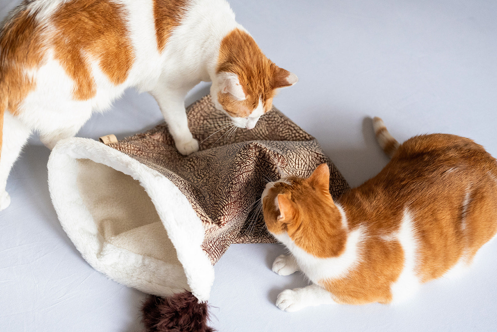 Feline Frenzy Cat Crinkle Sack
