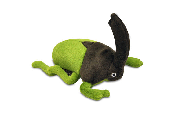 Bugging Out Ryan the Rhino Beetle