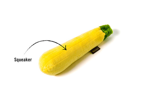 Garden Fresh Zucchini