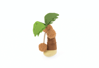 Tropical Paradise Puppy Palm