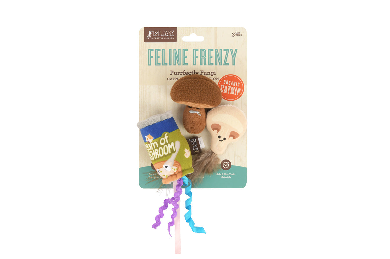 Feline Frenzy Purrfectly Fungi
