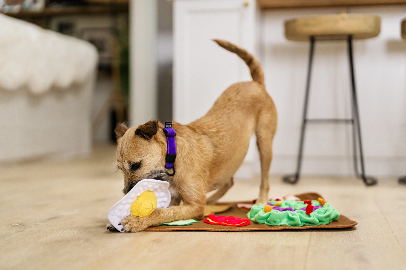 Savory Sunrise Snuffle Mat