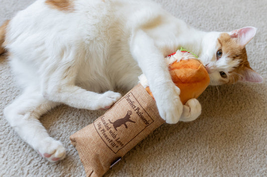 Feline Frenzy Tuna Baguette Kicker Toy