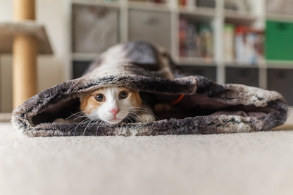 Snuggle Bed®