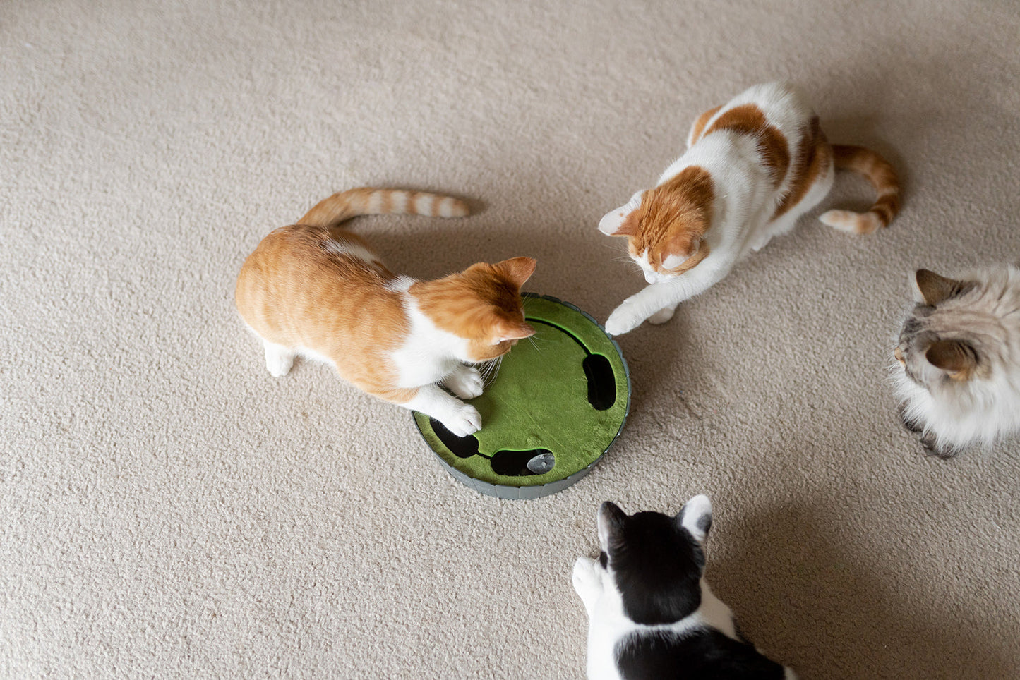 Feline Frenzy Peek-a-boo Mouse Interactive Cat Toy