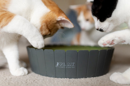 Feline Frenzy Peek-a-boo Mouse Interactive Cat Toy