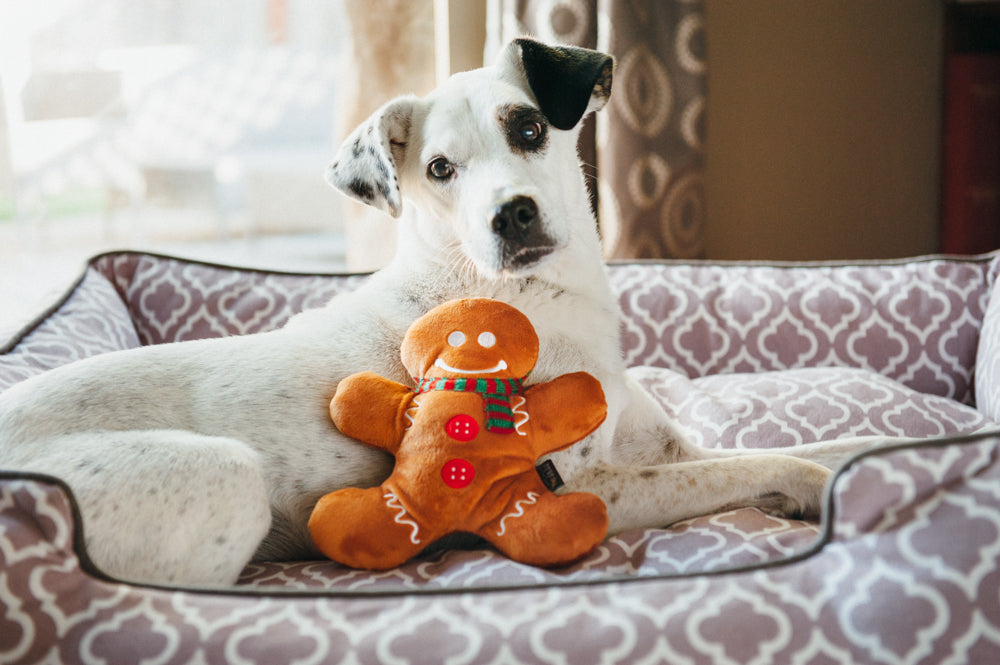 Holiday Classic Holly Jolly Gingerbread Man