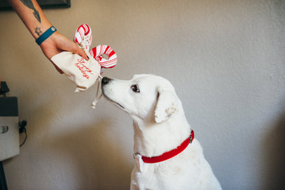Holiday Classic Cheerful Candy Canes