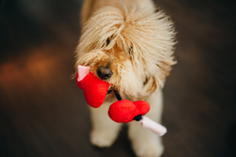 Puppy Love Fur-ever Hearts