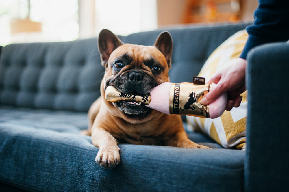Puppy Love Barking Bubbly