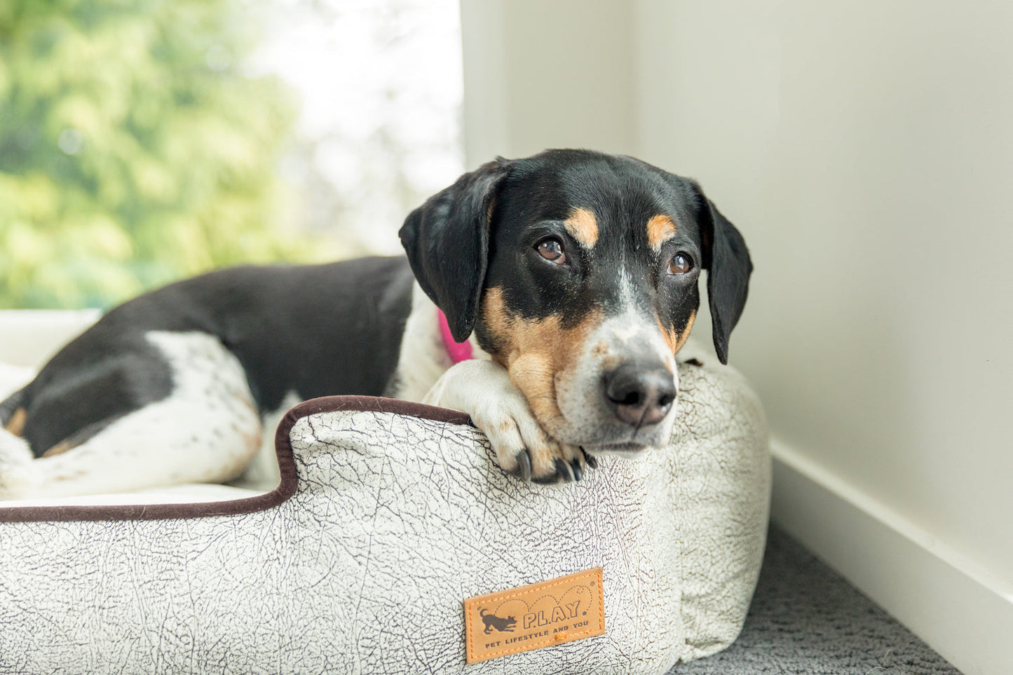 Savannah Lounge Bed