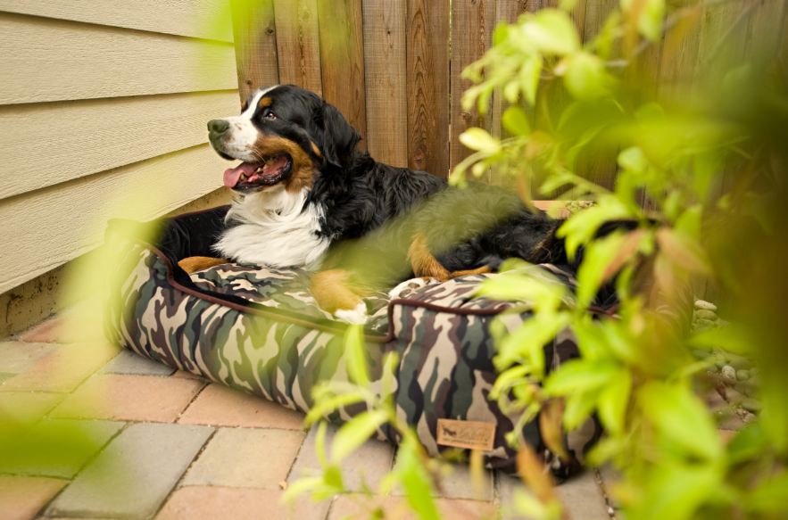 Camouflage Lounge Bed