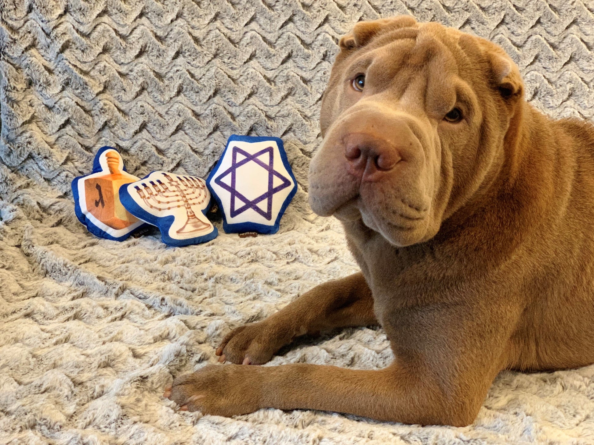 Hanukkah Dog Toys