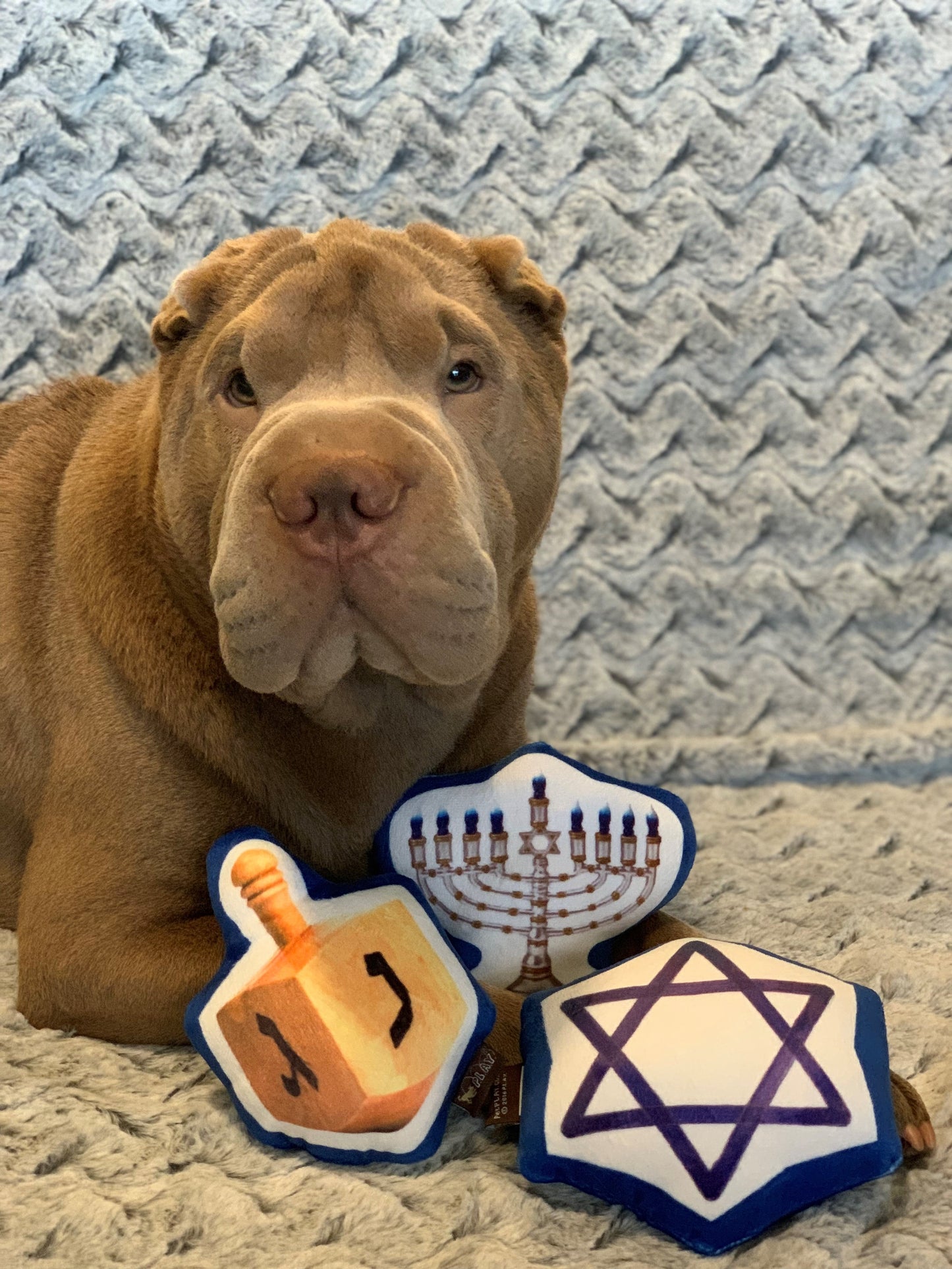 Hanukkah Dog Toys