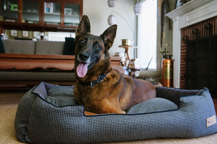 Houndstooth Lounge Bed