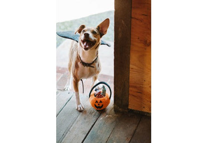 Howl-o-ween Treat Basket