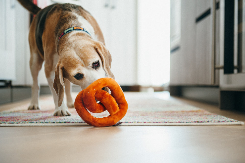 International Classic Poochie Pretzel