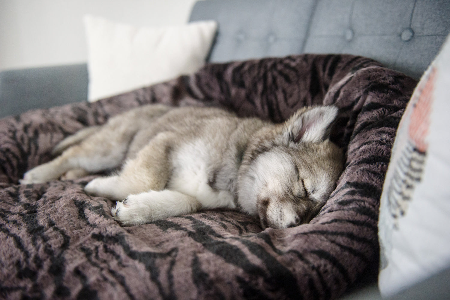 Snuggle Bed®