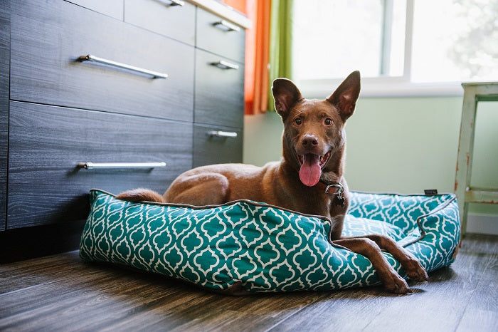 Moroccan Lounge Bed