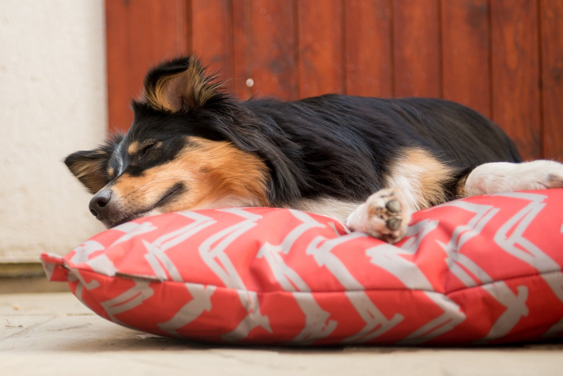 Outdoor Bed