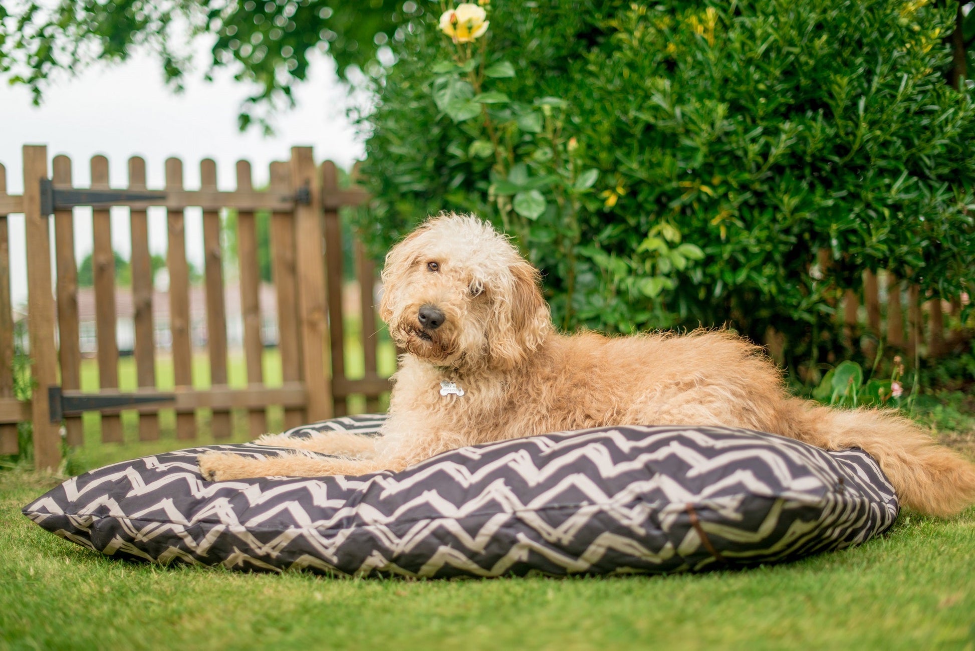 Outdoor Bed