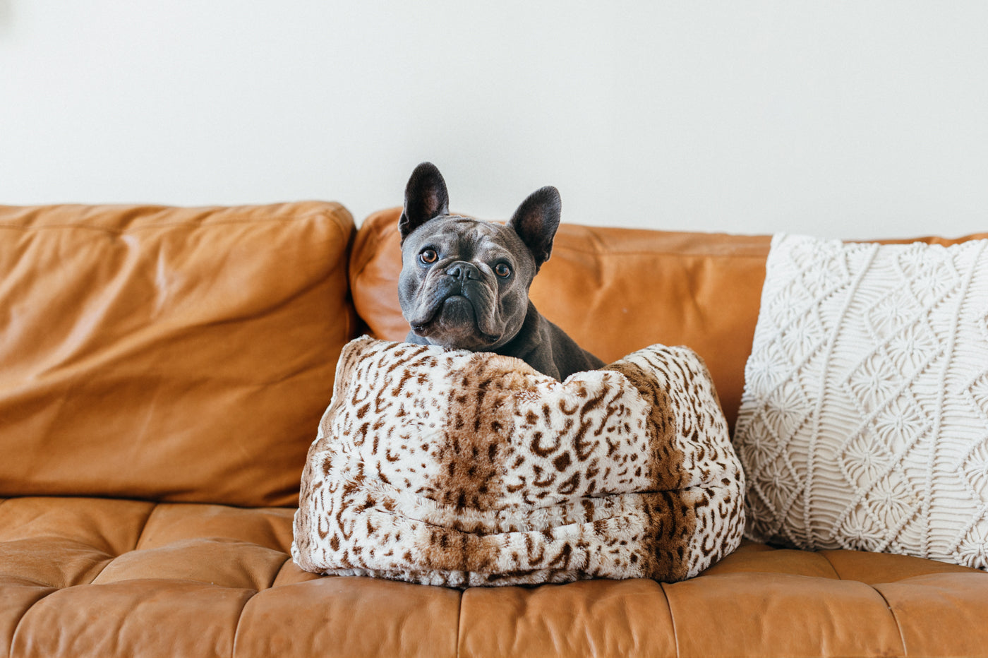 Snuggle Bed®