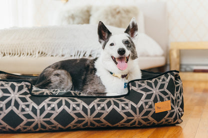 Solstice Lounge Bed