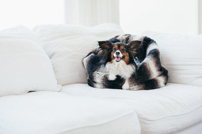 Snuggle Bed®