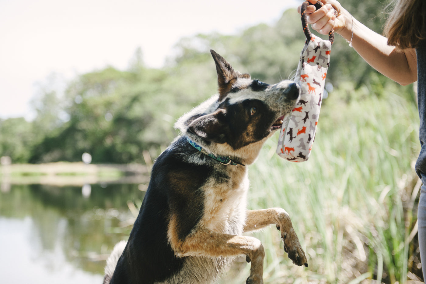 Toss & Float Toy