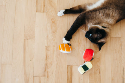 Feline Frenzy Sassy Sushi