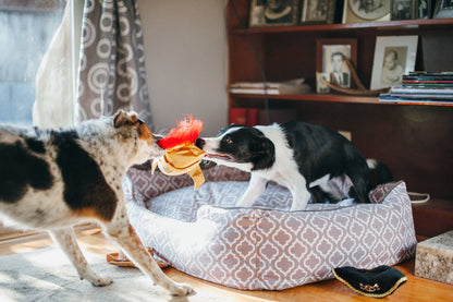 Mutt Hatter Collection