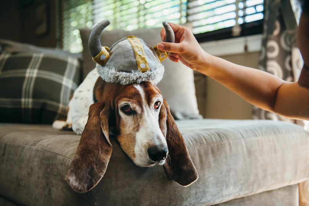 Mutt Hatter Collection