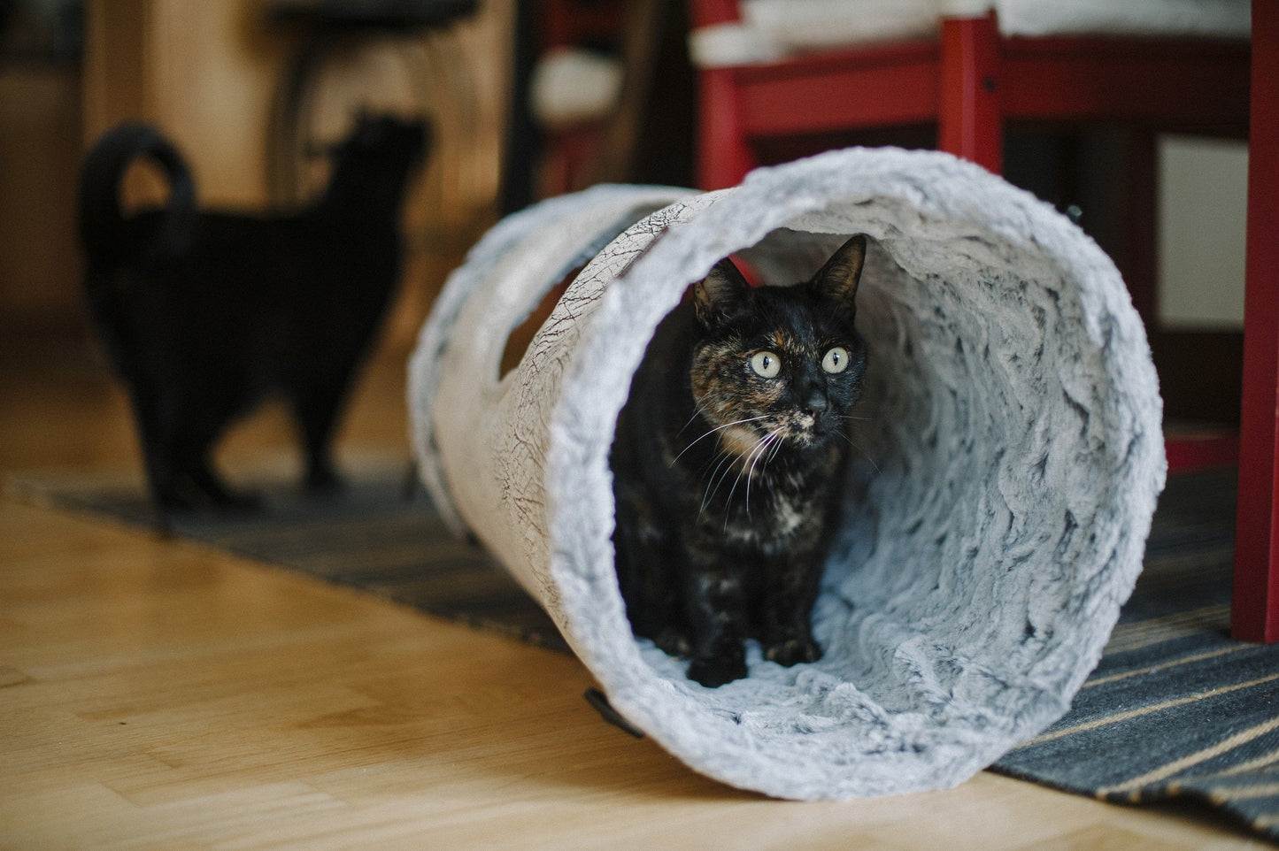 Feline Frenzy Purr & Pounce Cat Tunnel