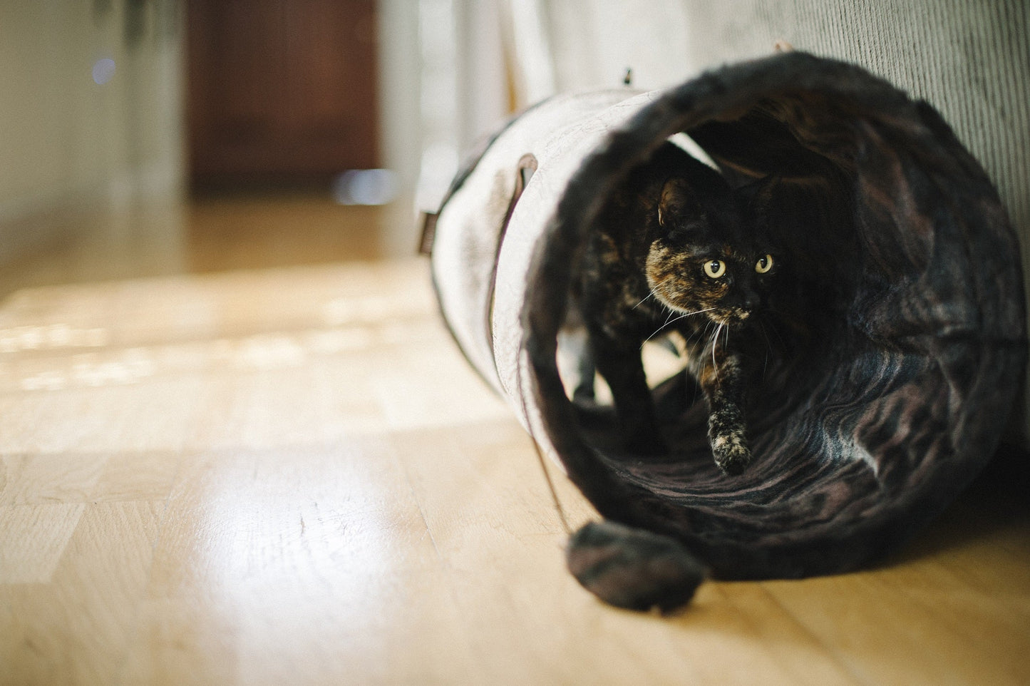 Feline Frenzy Purr & Pounce Cat Tunnel
